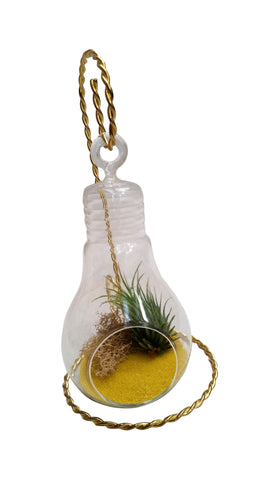 Yellow Airplant Terrarium with Stand