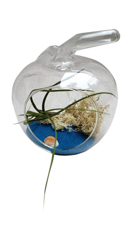 Teal Apple Terrarium