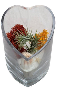 Funky Heart Airplant Terrarium