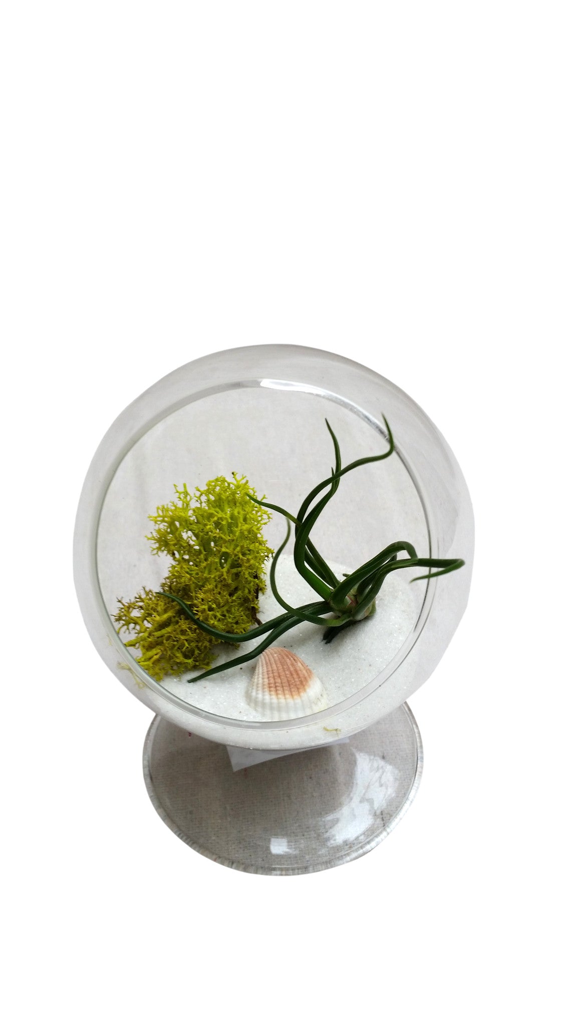 White Sand Table Terrarium –