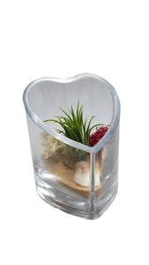 Tan Heart Airplant Terrarium-Mother's Day, Valentine Day, Birthday's