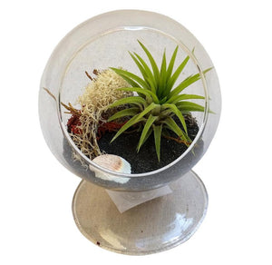 Circle Halloween Terrarium