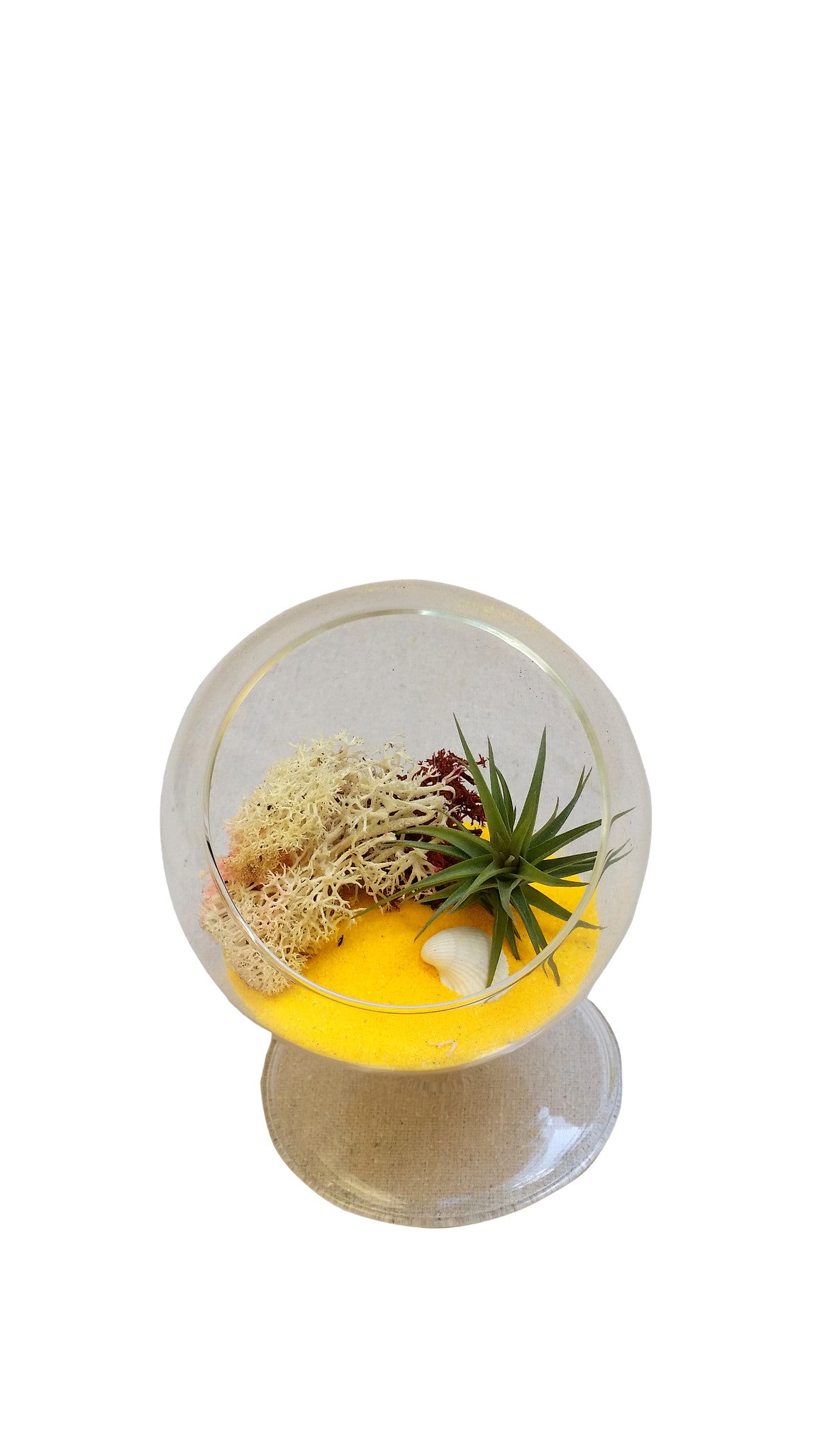 Yellow Halloween Terrarium