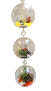Tri Level Halloween Air Plant Terrarium