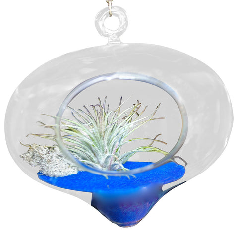 Super Man Tear Drop Air Plant Terrariums