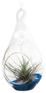 Superman Airplant Terrarium