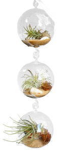 Tri Level Airplant Terrarium -Beach Theme
