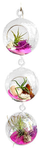 Hot Pink Tri Level Airplant Terrarium