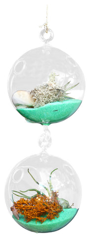 Neon Green Airplant Terrarium