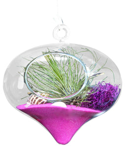 Hot Pink Tear Air Plant Terrariums Drop