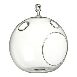 air plant terrarium bulk 1 Circle Air Plant Terrarium – Airplantcompany.com