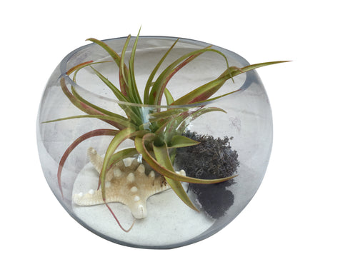 White Bowl
