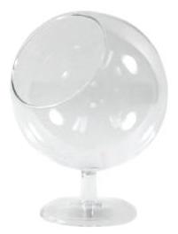 Big Circle Air Plant Terrarium